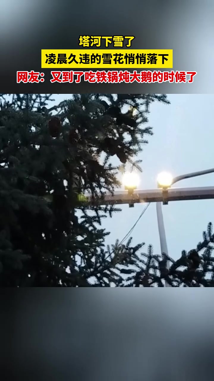 10月2日黑龙江塔河,塔河下雪了,凌晨久违的雪花悄悄落下,网友:又到了吃铁锅炖大鹅的时候了