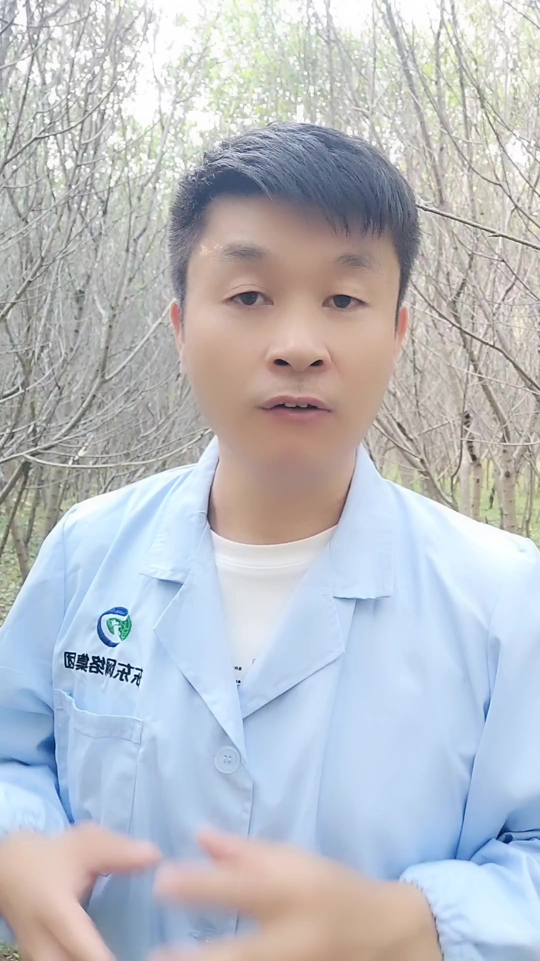 母鸡不下蛋的四大原因