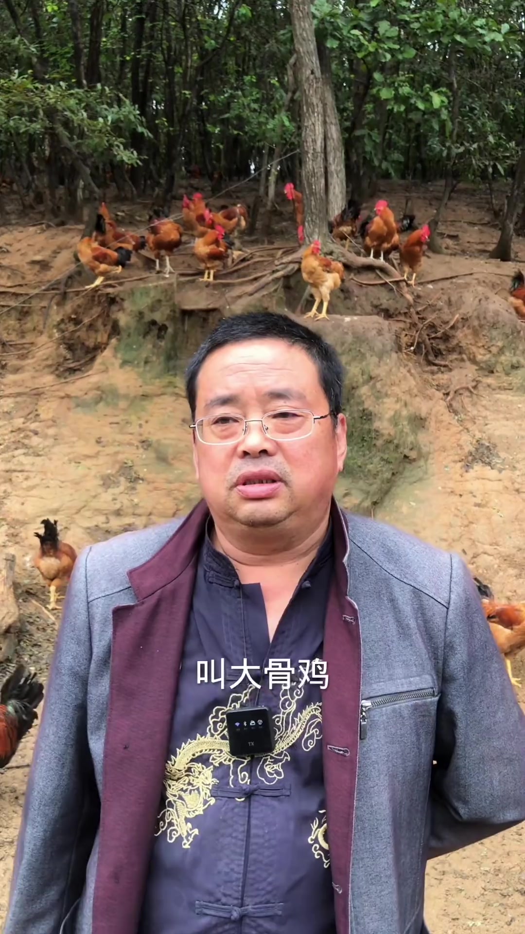 庄河特产正儿八经跑山大骨鸡，肉质鲜美家乡的味道