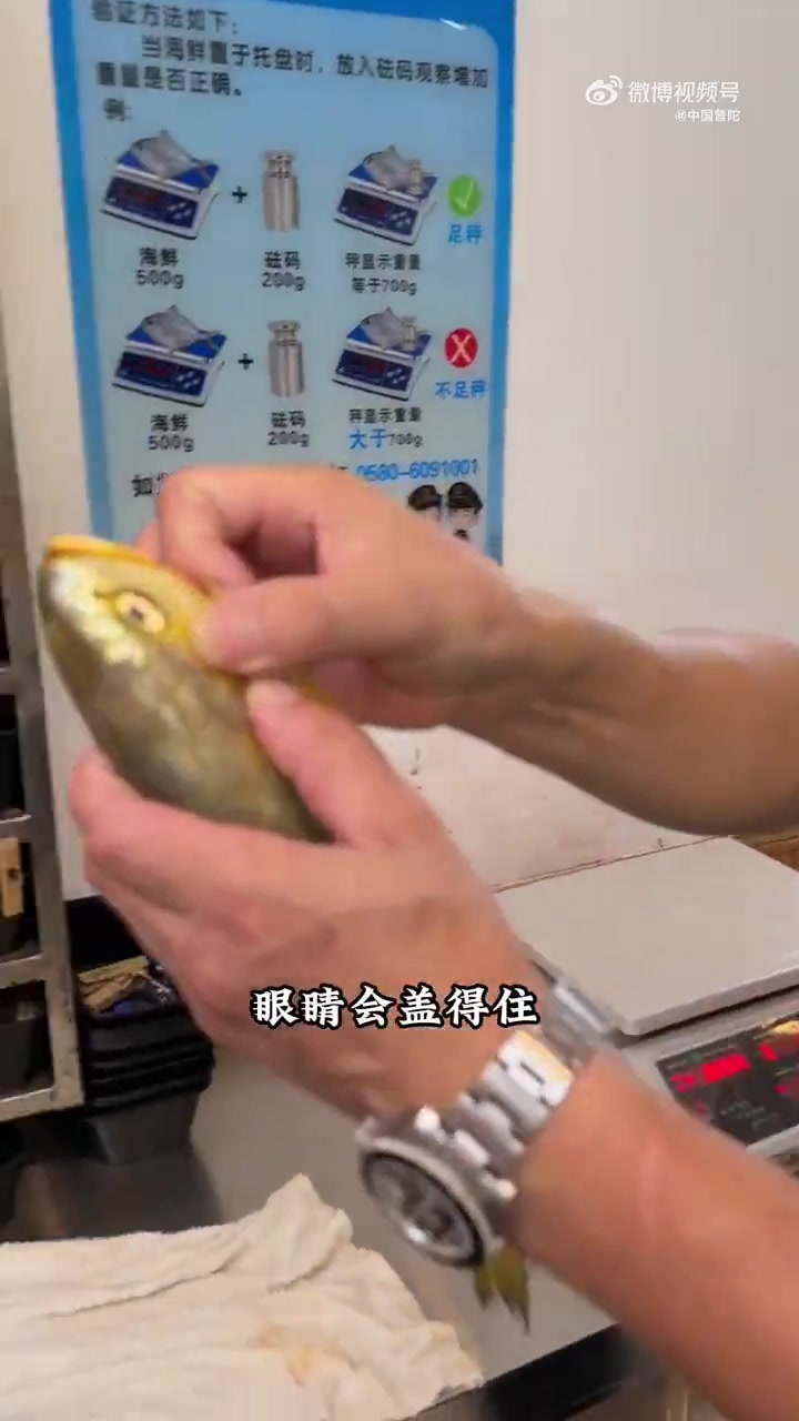 国庆来朱家尖吃海鲜,本地叔叔的良心推荐绝了!今年黄鱼量大价优,九两左右的野捕黄鱼鱼鳍能盖眼