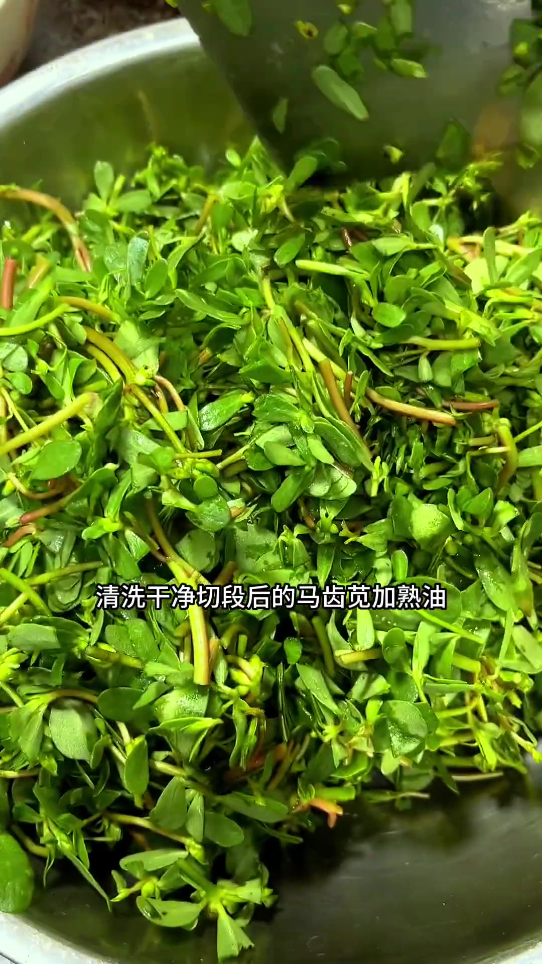 野菜马齿苋又名“长寿菜”,有人当宝有人当草,满是儿时味