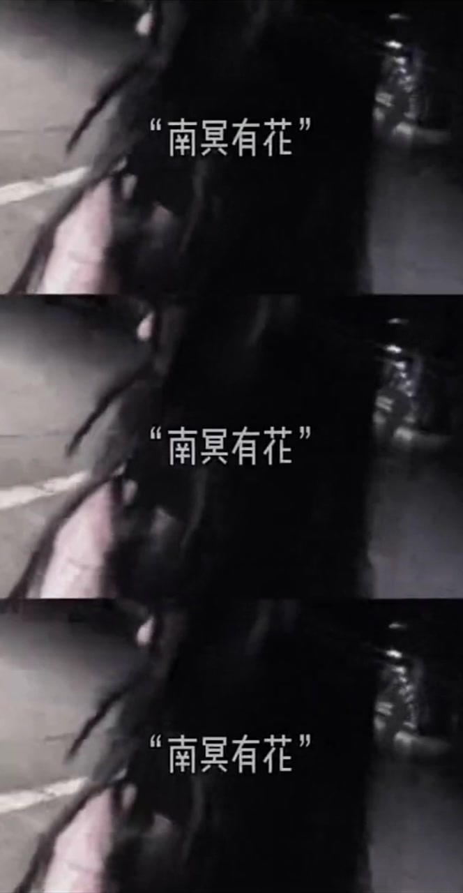 北冥有鱼