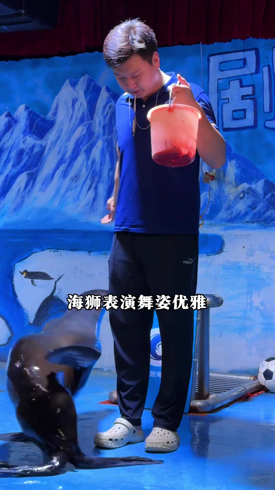 开州万州云阳的朋友,家门口的海洋世界来了!五彩斑斓、蓝色治愈系的海底世界真奇妙!十一游玩攻