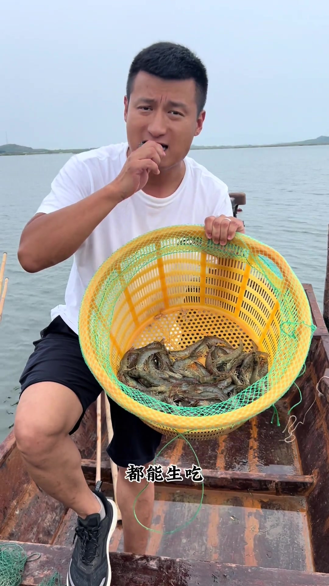 吃过一次复州湾的盐田虾,再也不会吃其他虾了!