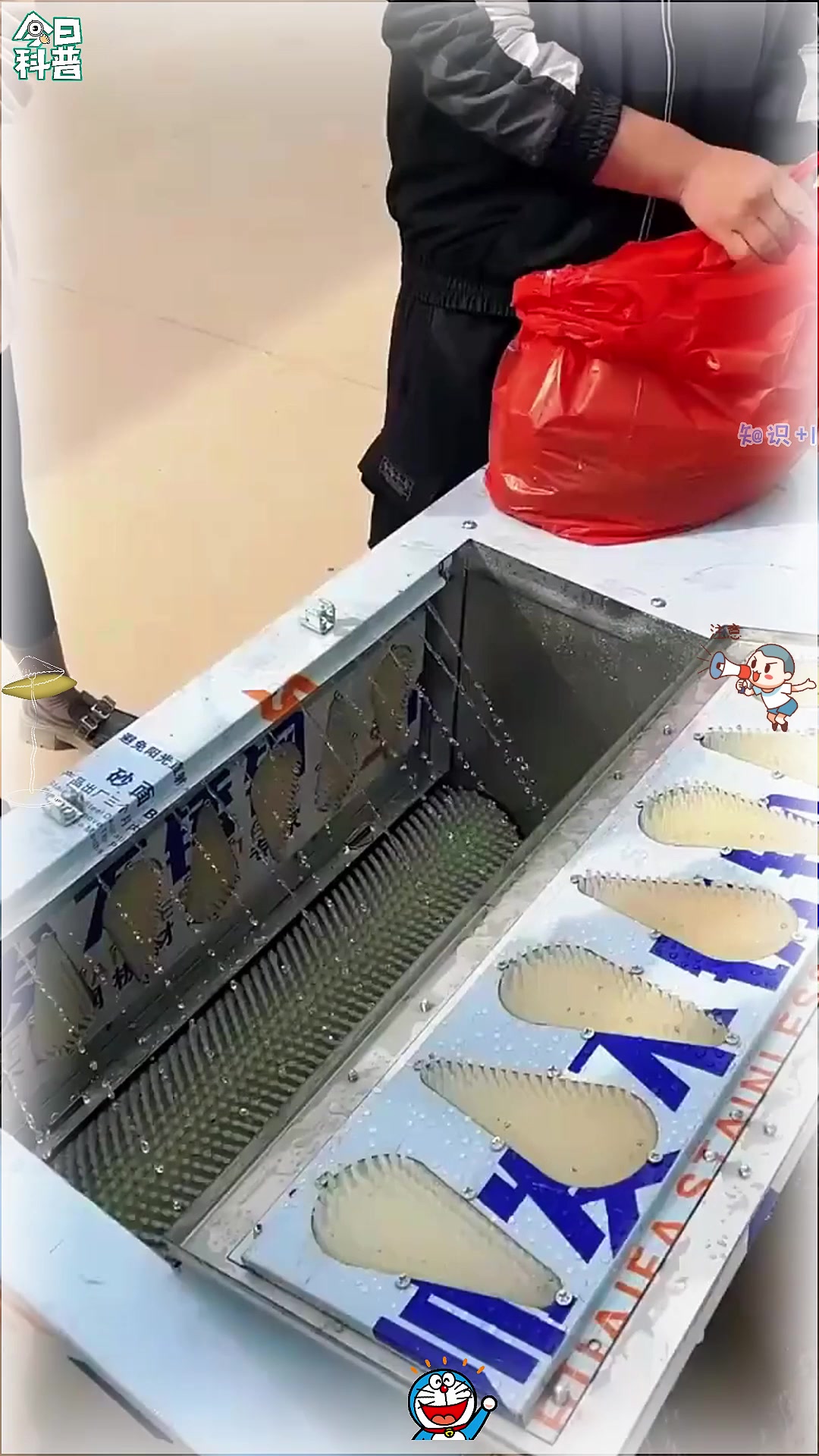 去鱼鳞神器,让您杀鱼不再麻烦!
