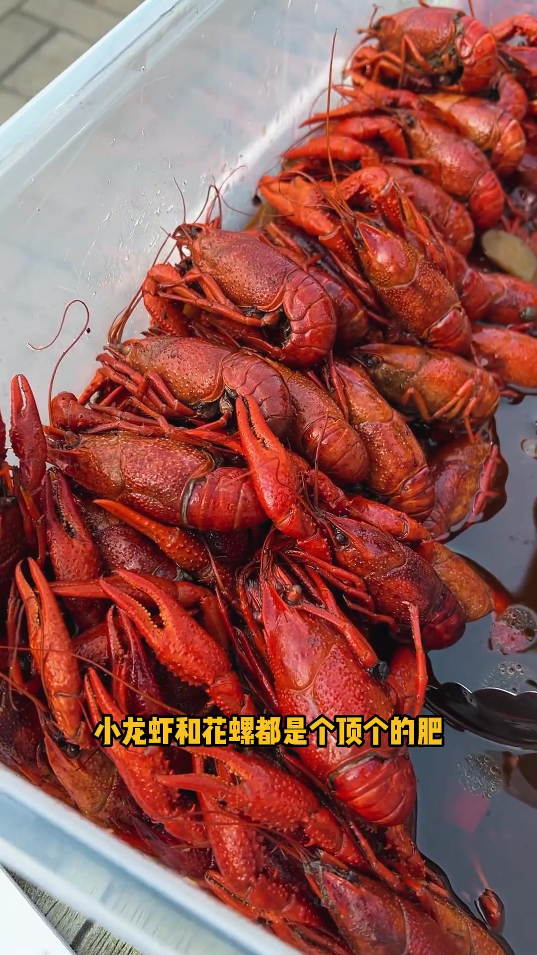 啤酒节来袭,特色小吃与舞台表演畅享人间烟火