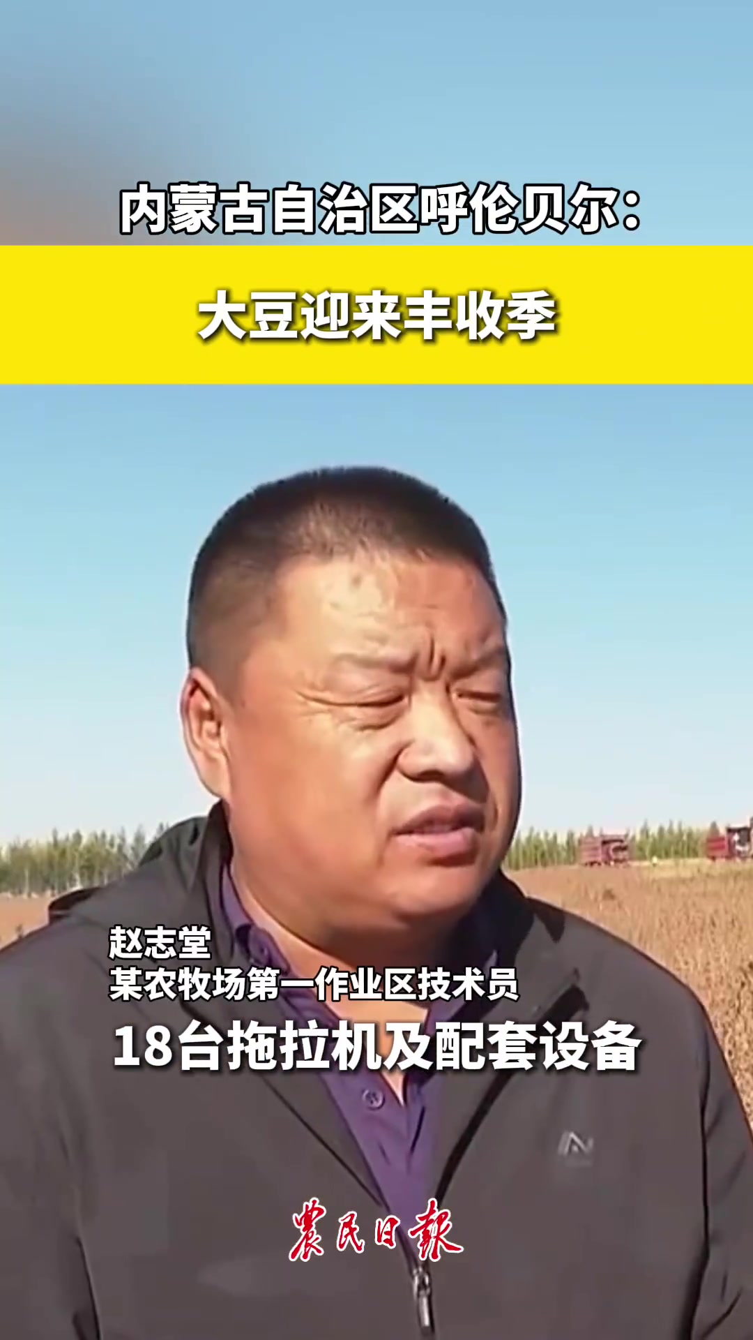 内蒙古自治区呼伦贝尔:大豆迎来丰收季