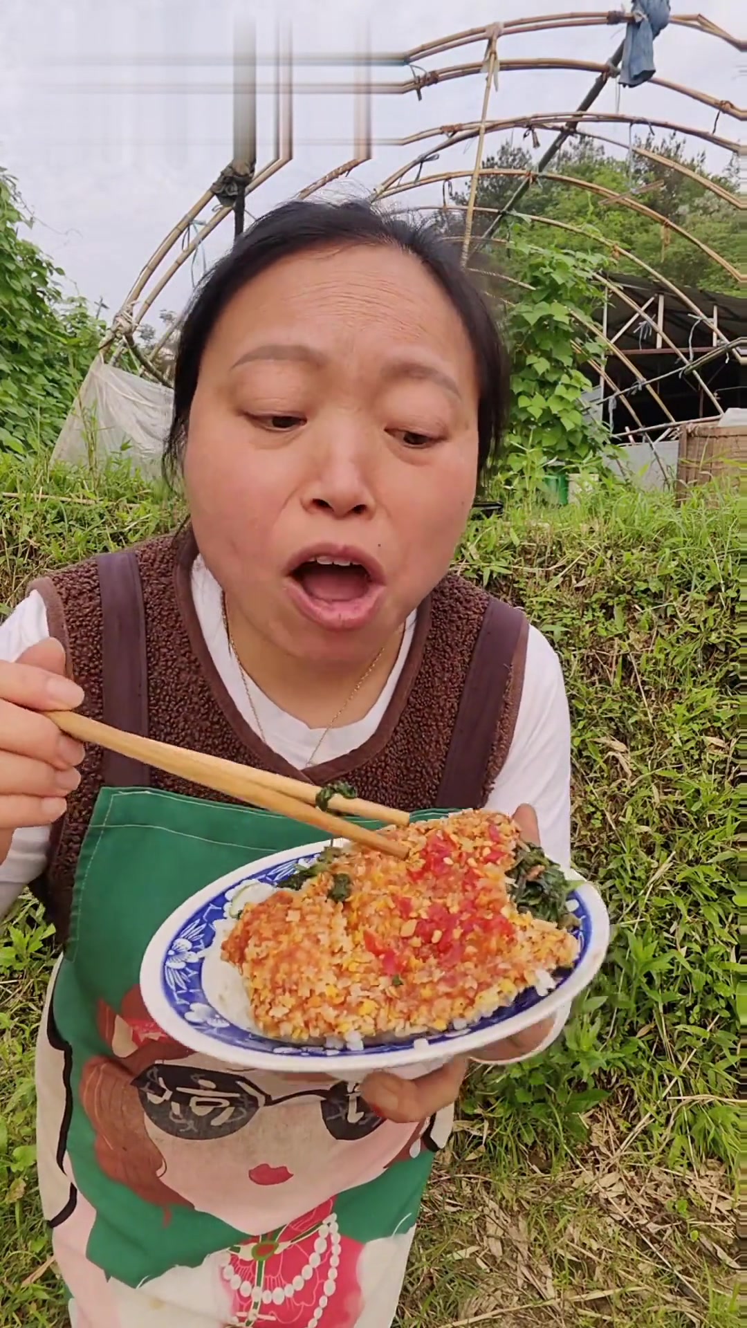 太阳下山吃晚饭,新东大鸡排超爽,29.9发15包!