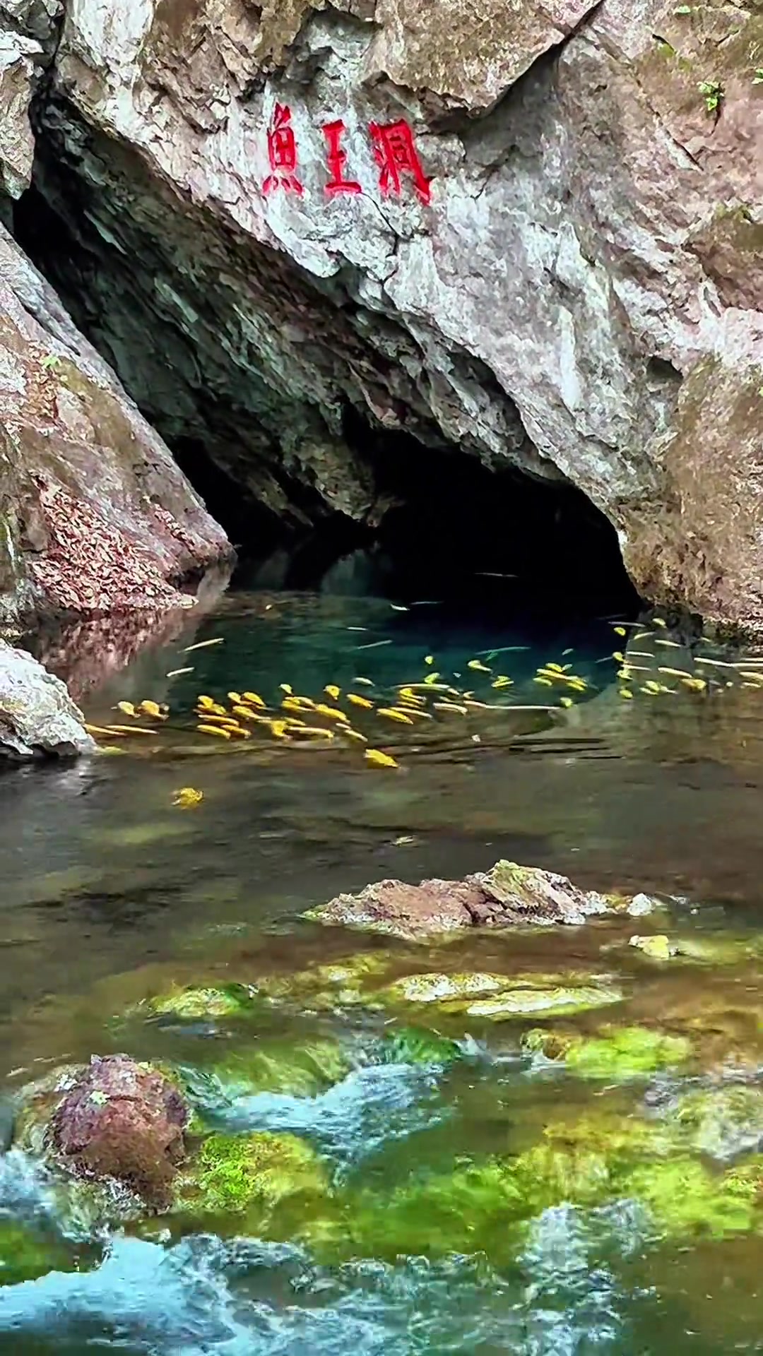 辽宁本溪草河掌“鱼王洞”有唐朝美丽传说