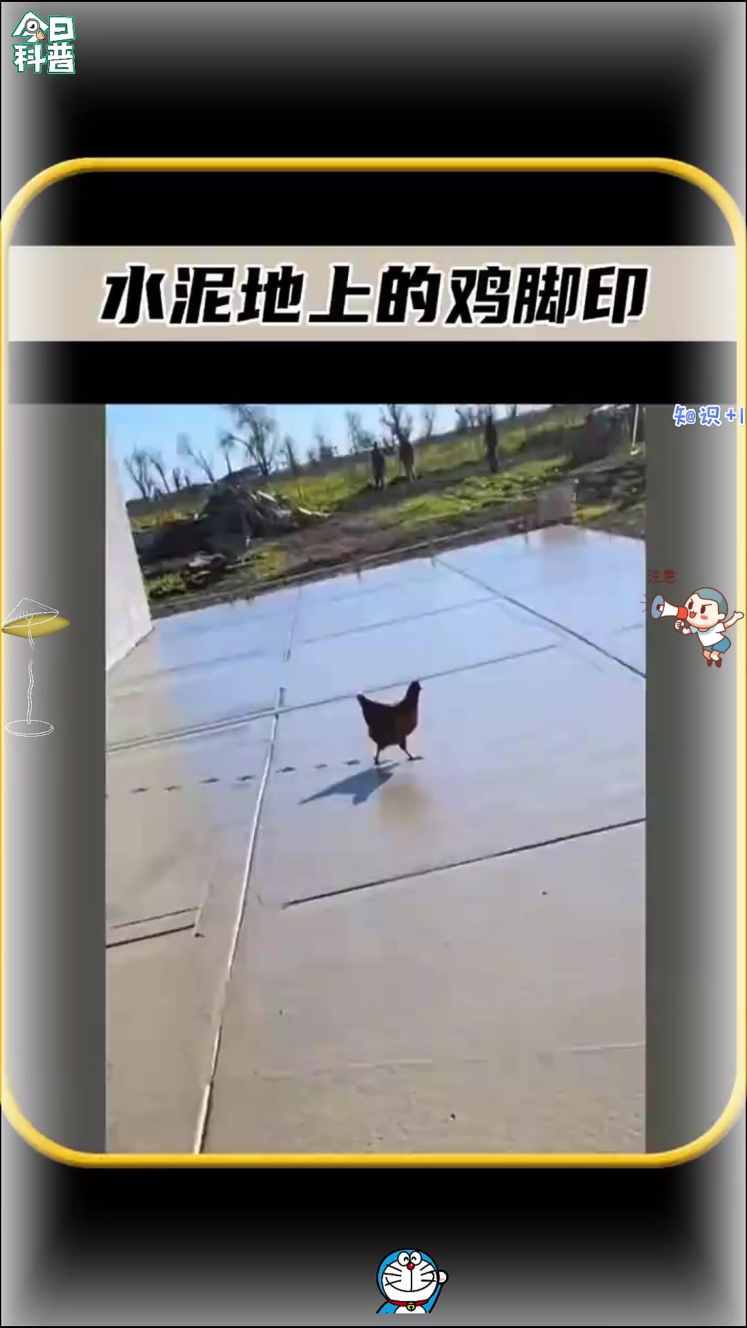 这真是千防万防,防不住鸡的脚印啊,真是太有趣了