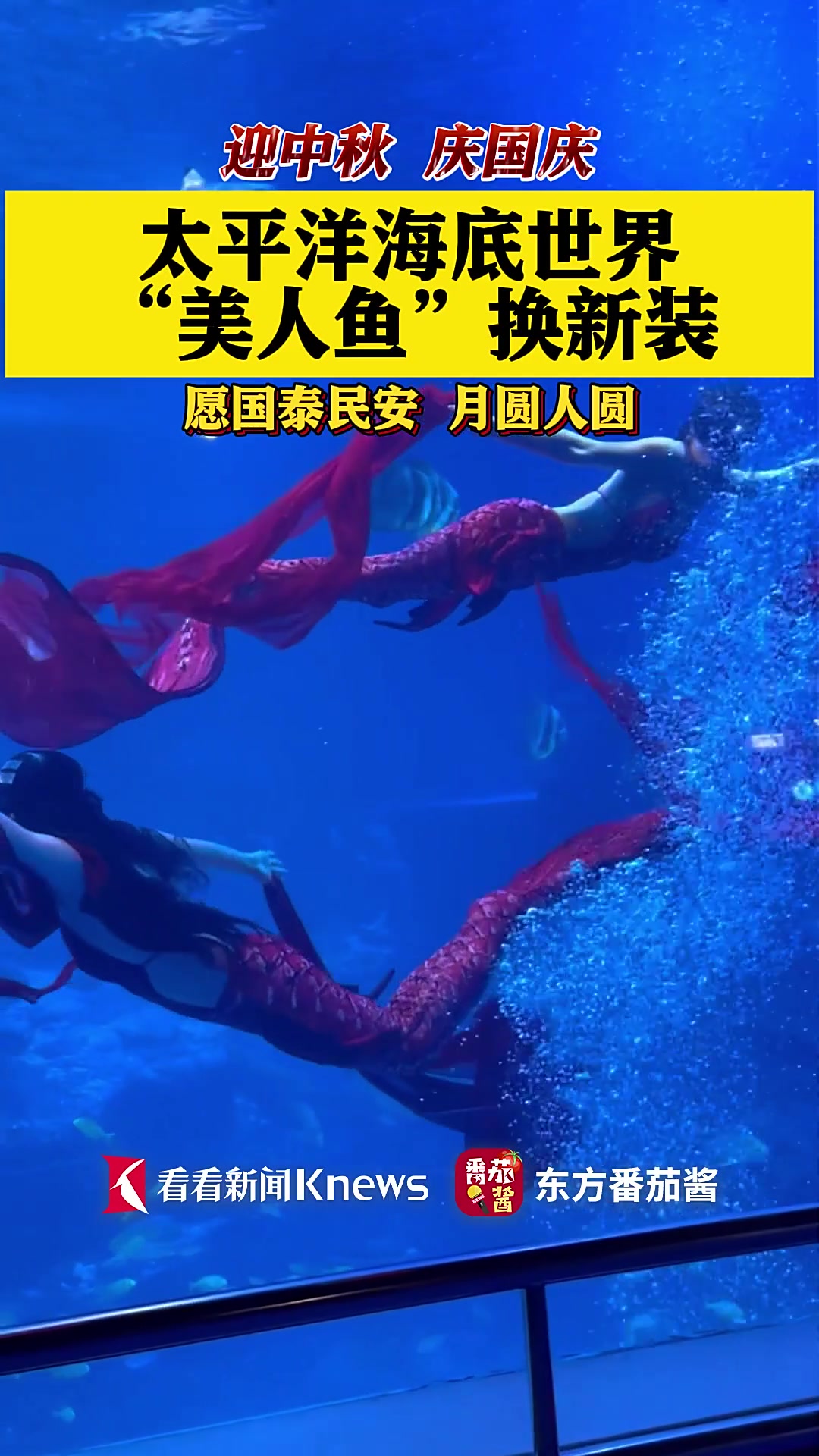迎中秋庆国庆 太平洋海底世界“美人鱼”换新装