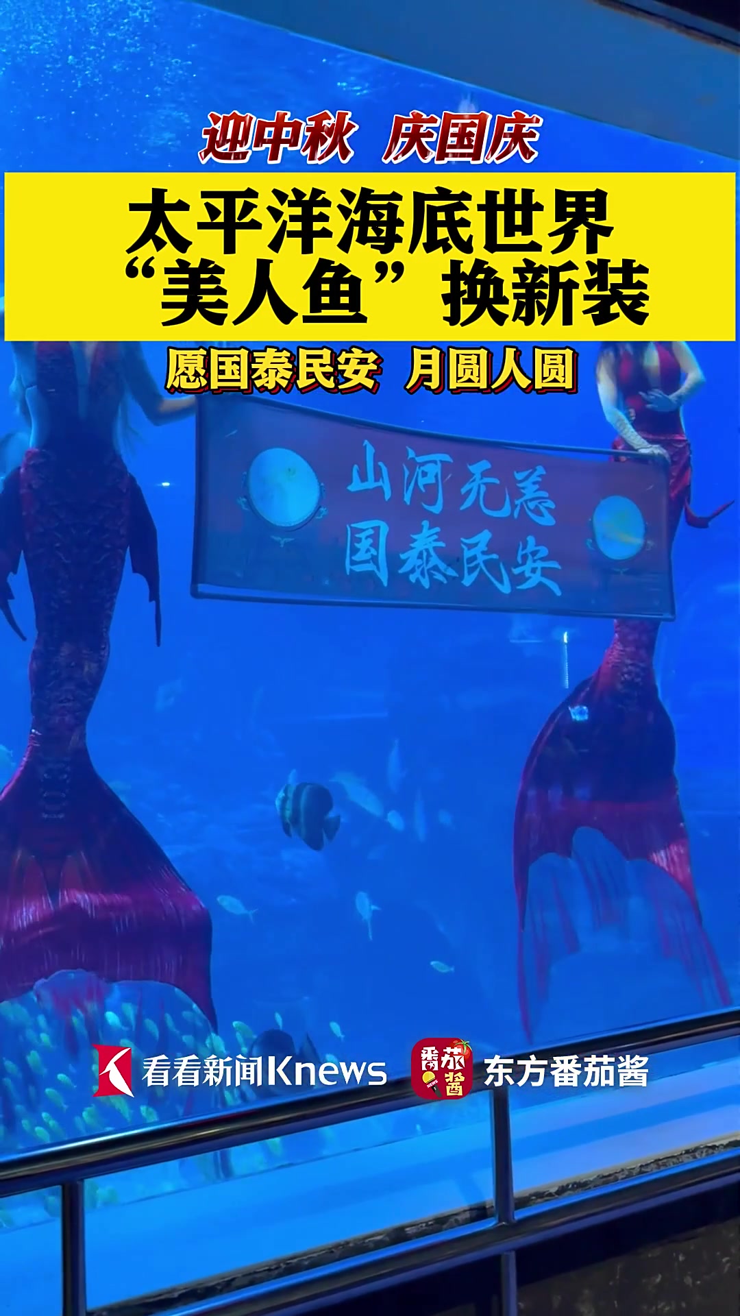 迎中秋庆国庆 太平洋海底世界“美人鱼”换新装
