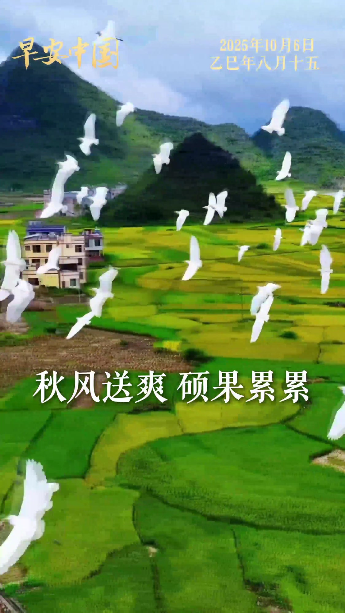 早安中国：愿您阖家幸福，中秋快乐