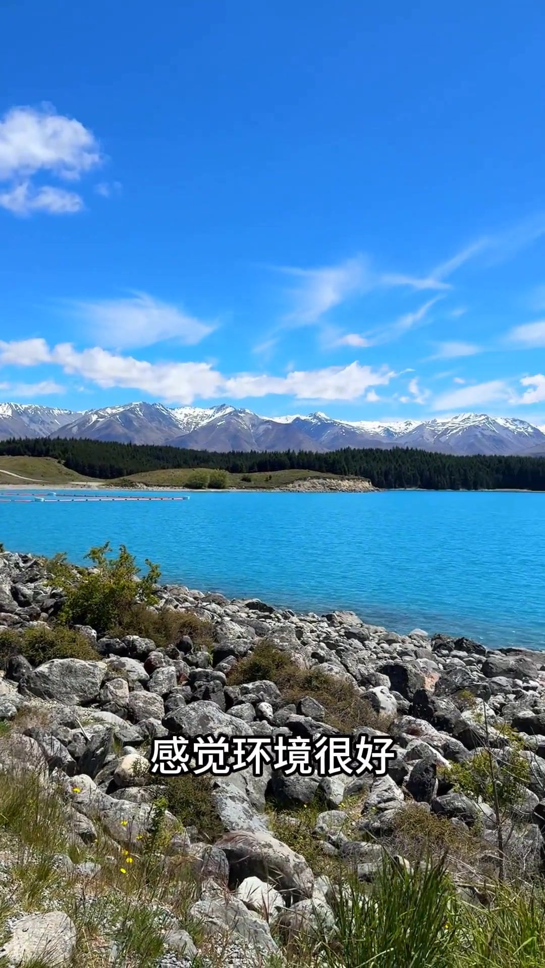 打卡新西兰三文鱼养殖场,淡水三文鱼能吃吗?