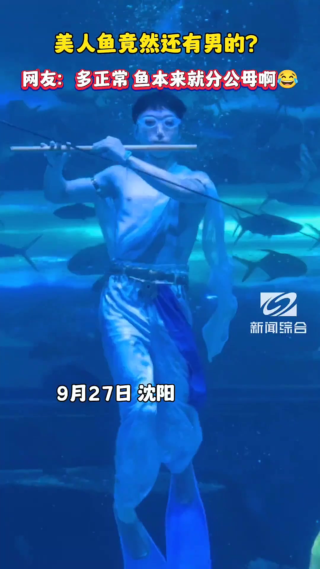 沈阳惊现男美人鱼？网友：啥鱼不分公母！
