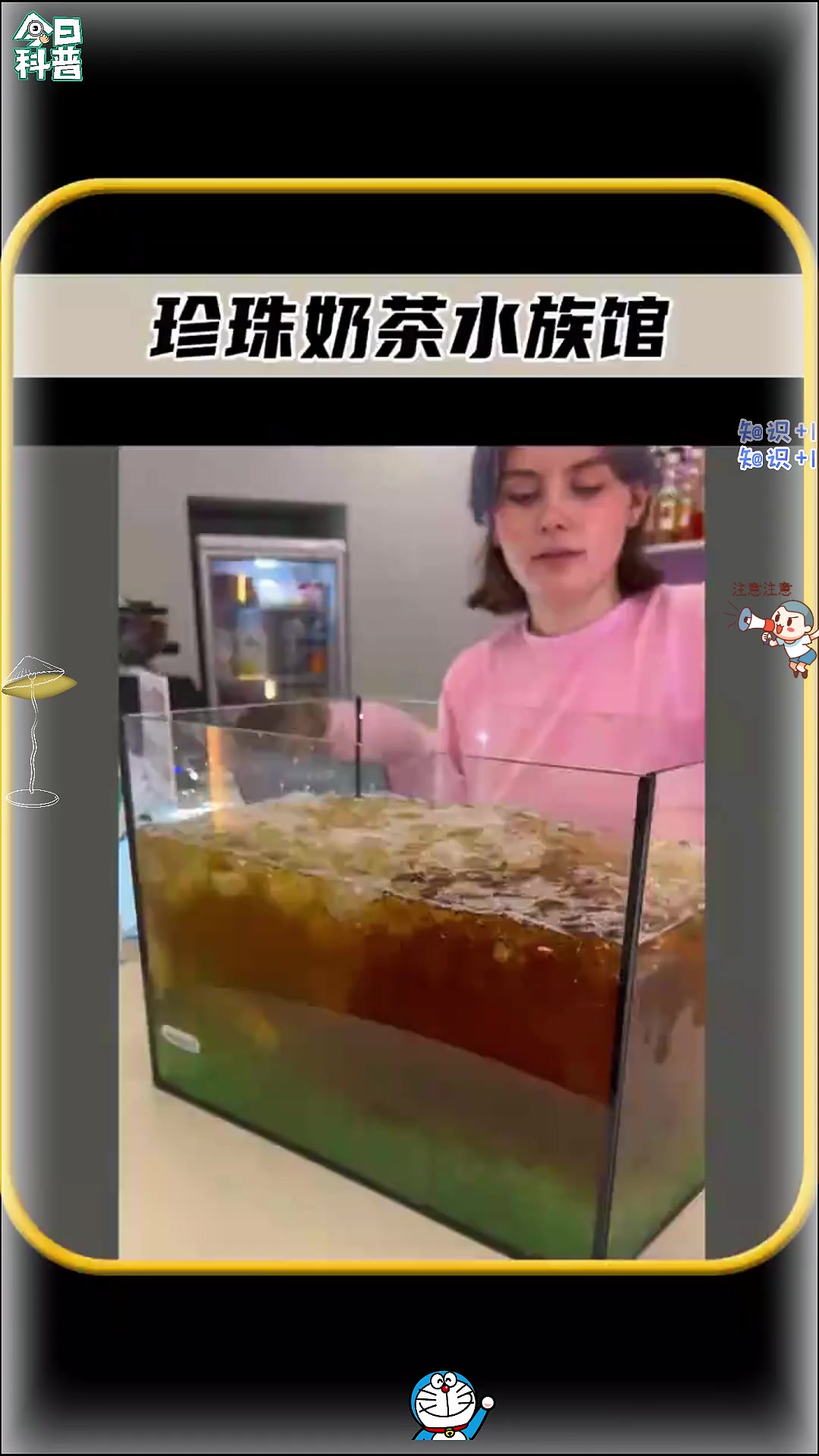 你敢相信吗，这个女孩制作了奶茶水族馆，真是太有创意了