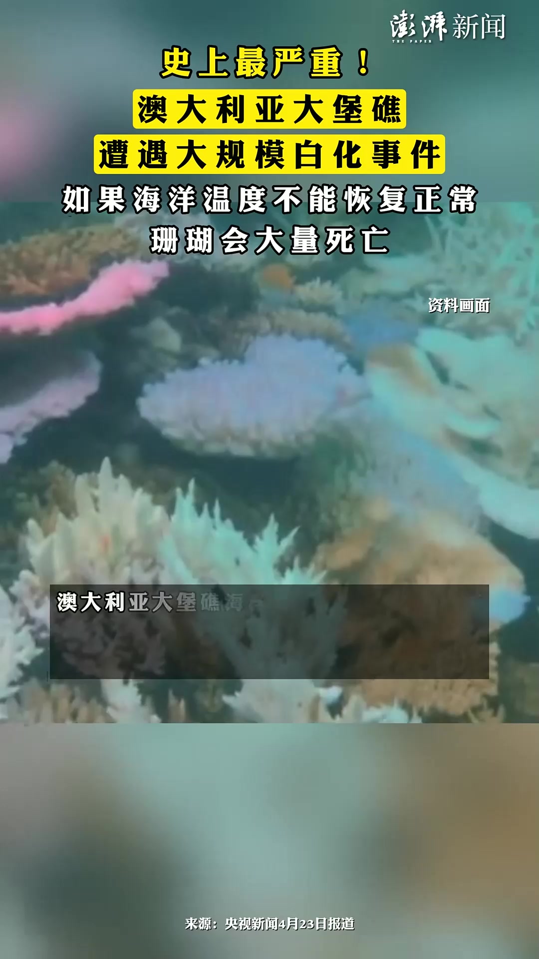 澳大利亚大堡礁大规模白化,珊瑚面临死亡威胁