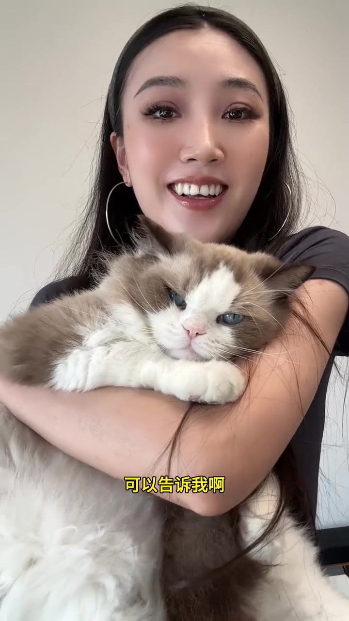 我捡到的被人遗弃的小猫,现在怎么样了?
