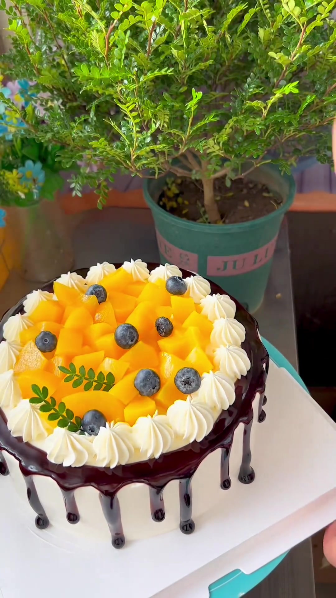 12寸的水果简约蛋糕，一看就会