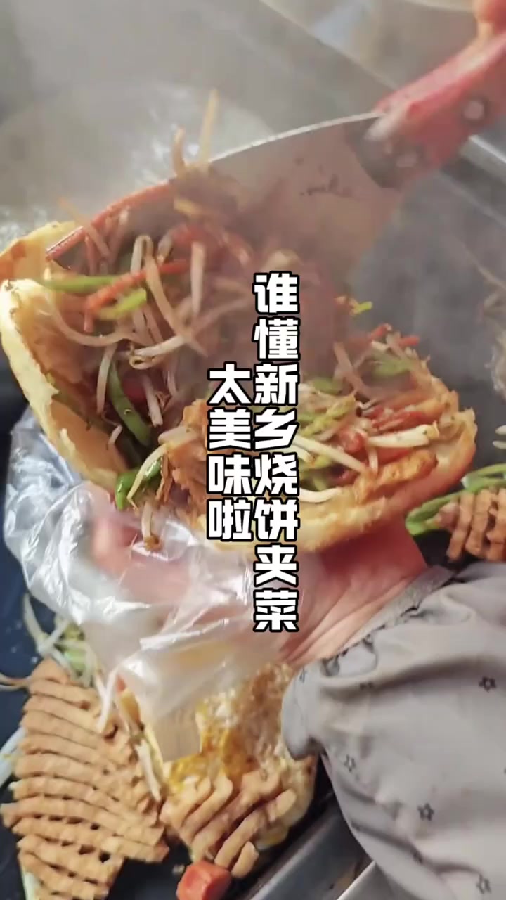 谁能够代替你呢 新乡烧饼夹菜太美味啦 一吃一个不吱声 太好吃了 河南 新乡 烧饼夹菜