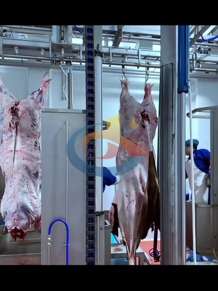 自动牛屠宰设备,牛羊屠宰设备,鲁新启达牛屠宰设备,全套牛屠宰设备,大型牛屠宰流水线