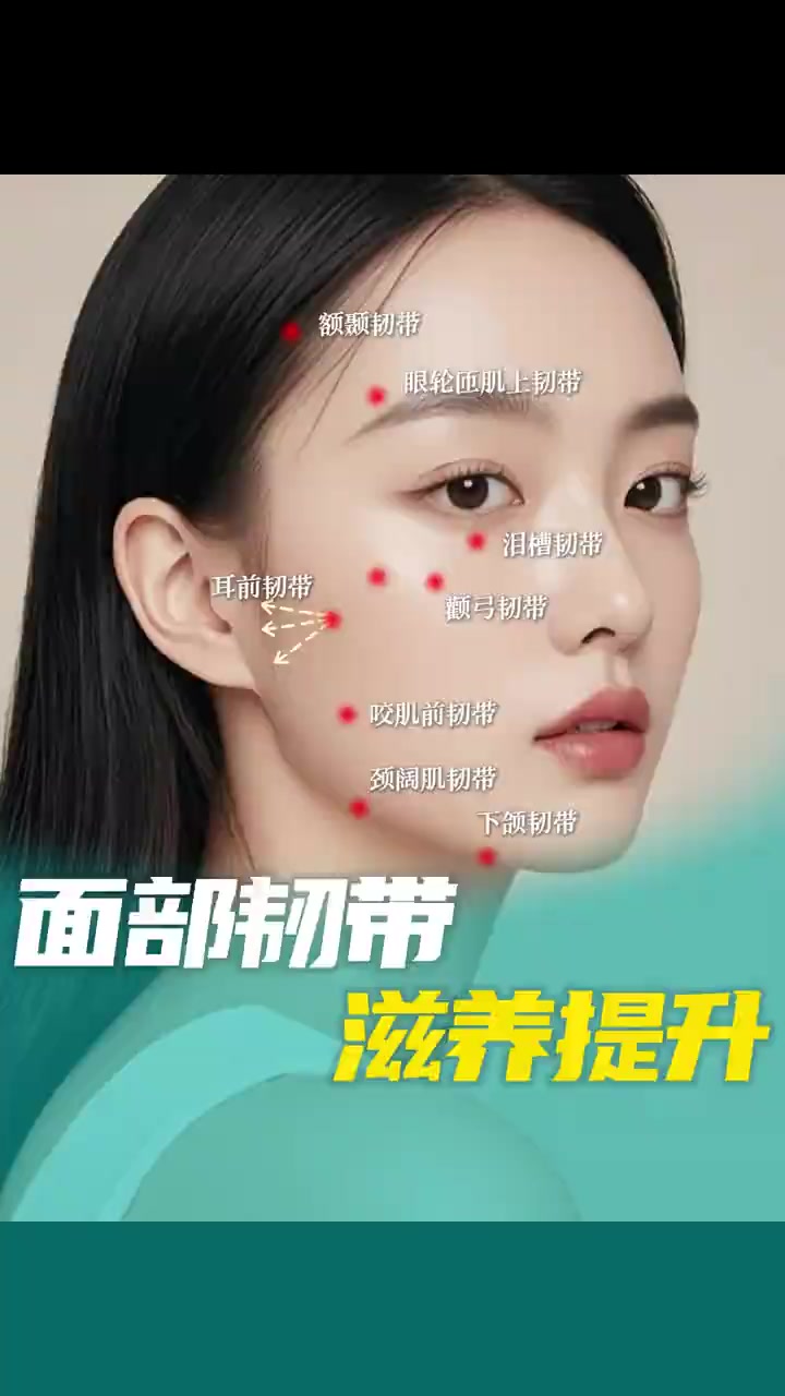 面部韧带为什么需要滋养 面部韧带由致密的胶原纤维束构成,类似“生物钢索”。它并非单纯连接骨