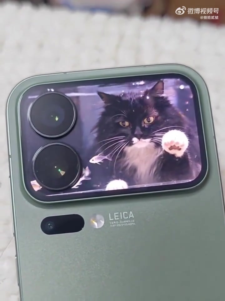 小米17Pro妙享屏猫咪壁纸制作方法,打开豆包,帮我生成图片:保持小猫正脸不变,制作水后时