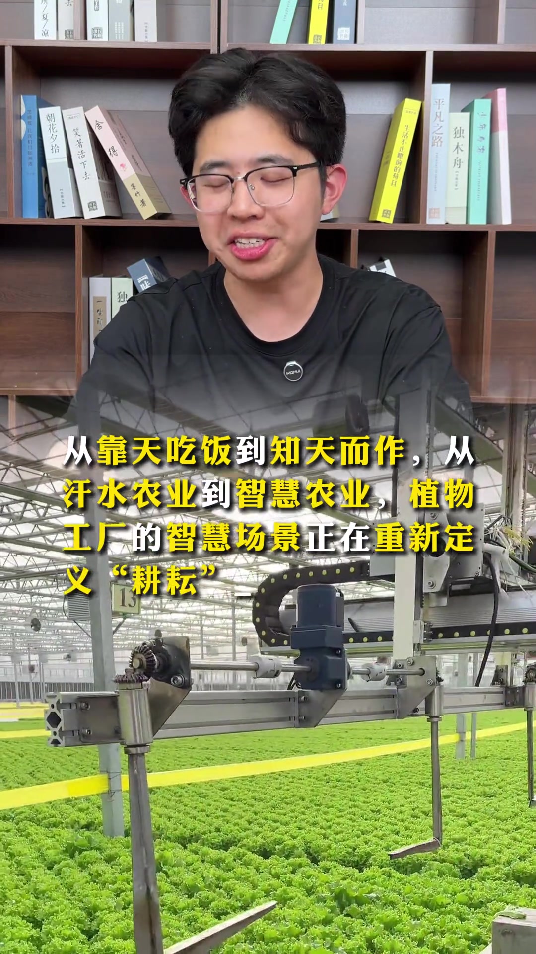 请用你的申论能力描述该画面