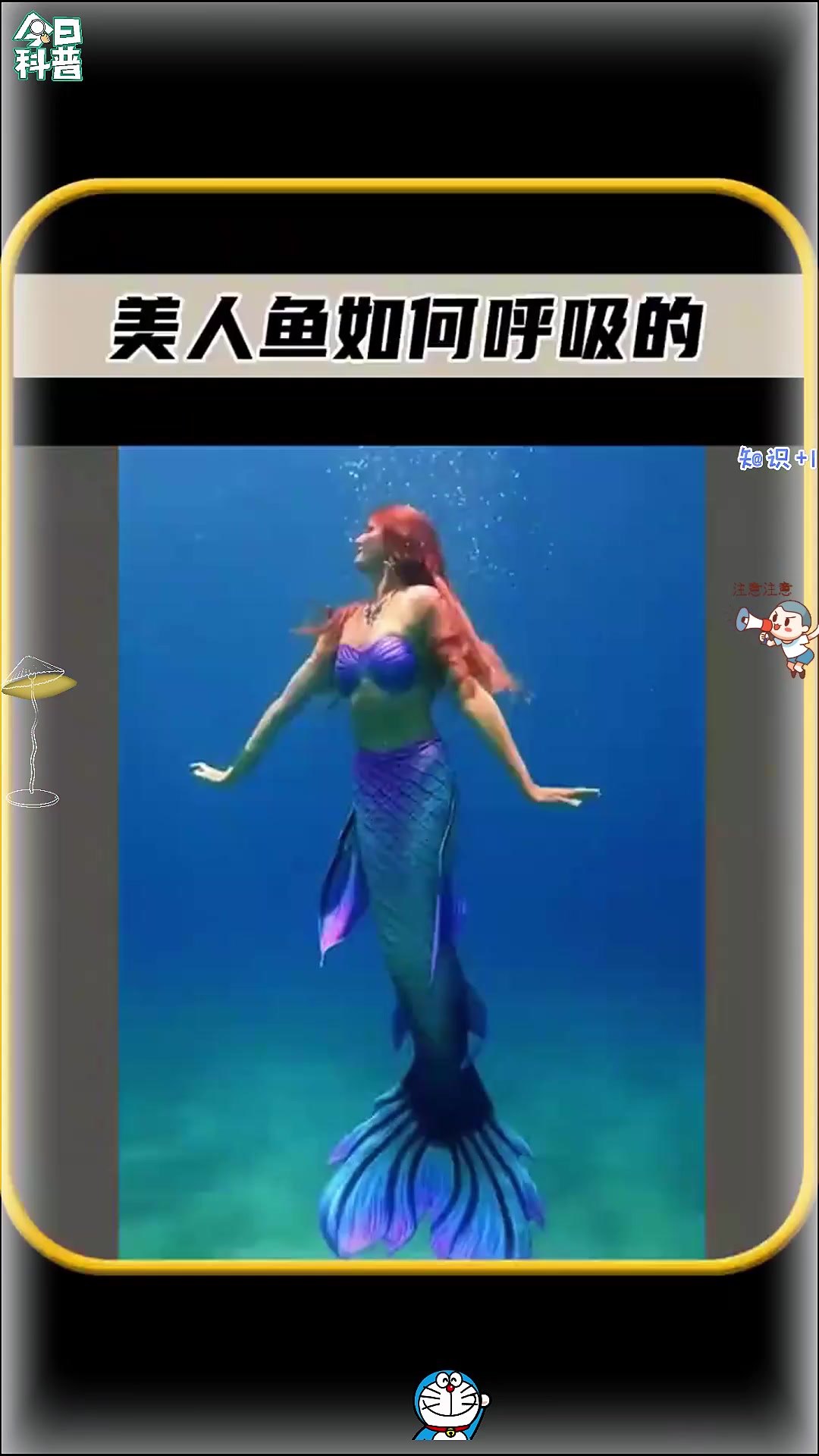 你知道美人鱼,在水下都是如何呼吸的吗,太震惊了