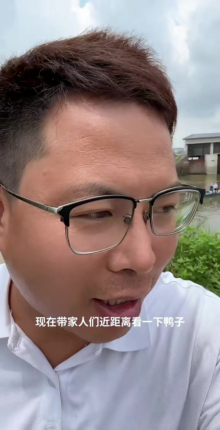来看看海边养的鸭子