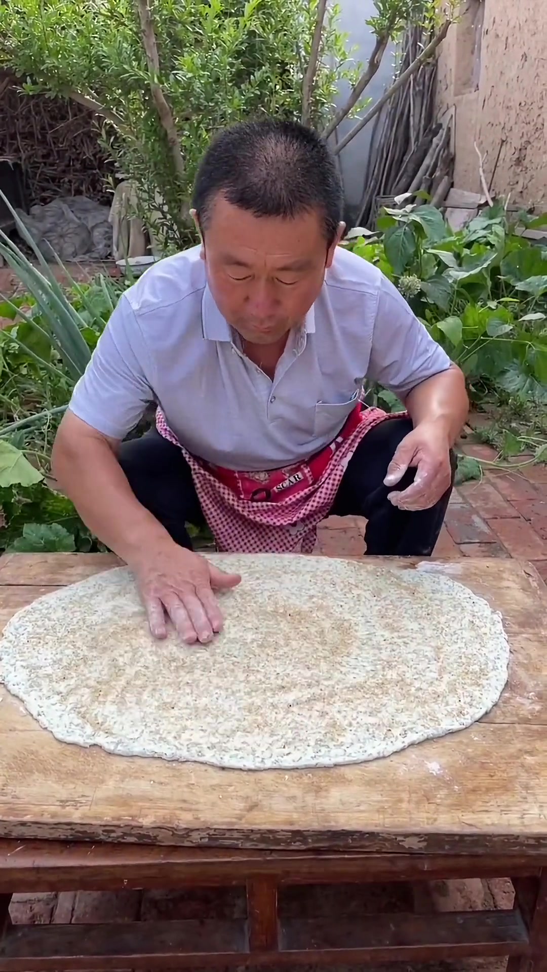 送西葫芦啦!还分享麻子菜多种吃法,超香!