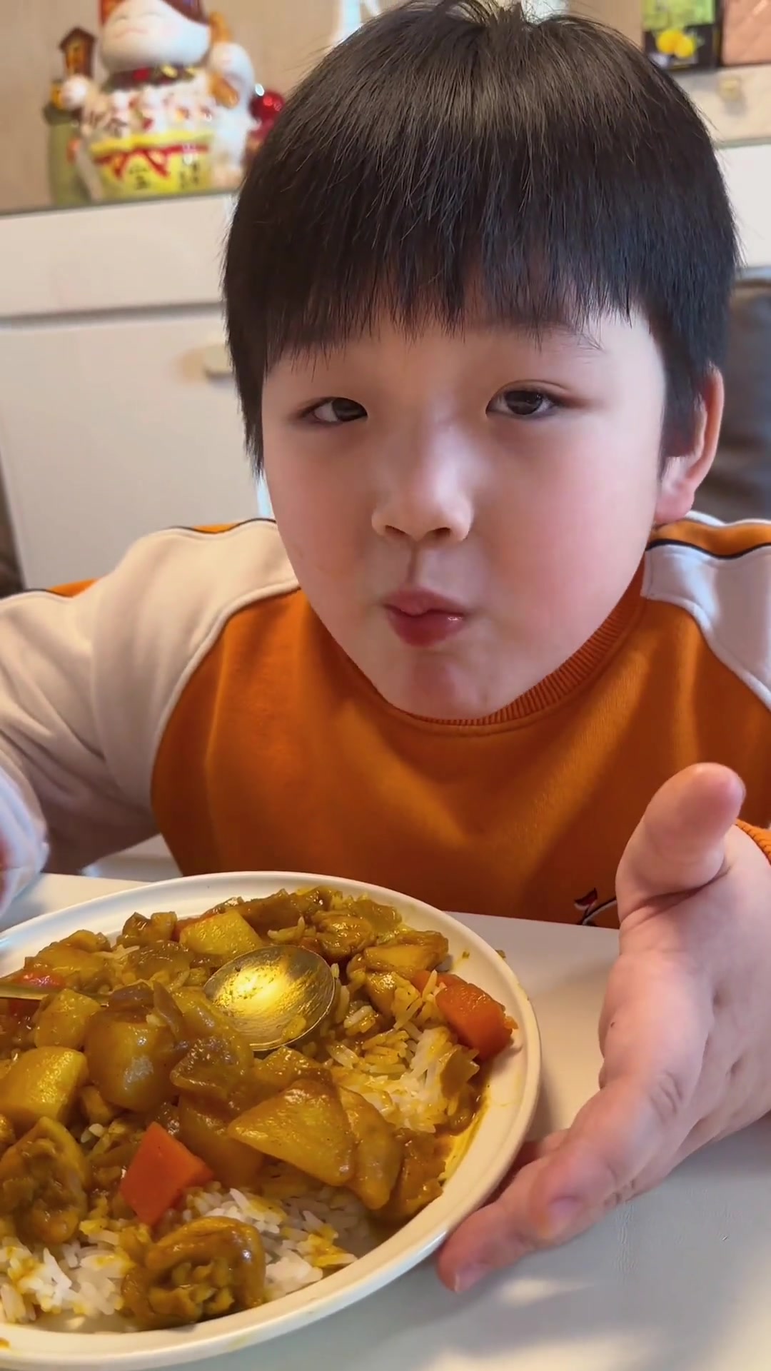 咖喱鸡肉土豆饭，香味浓郁简单好吃，每次煮姐弟俩都要吃光光，没试过的可以尝试一下