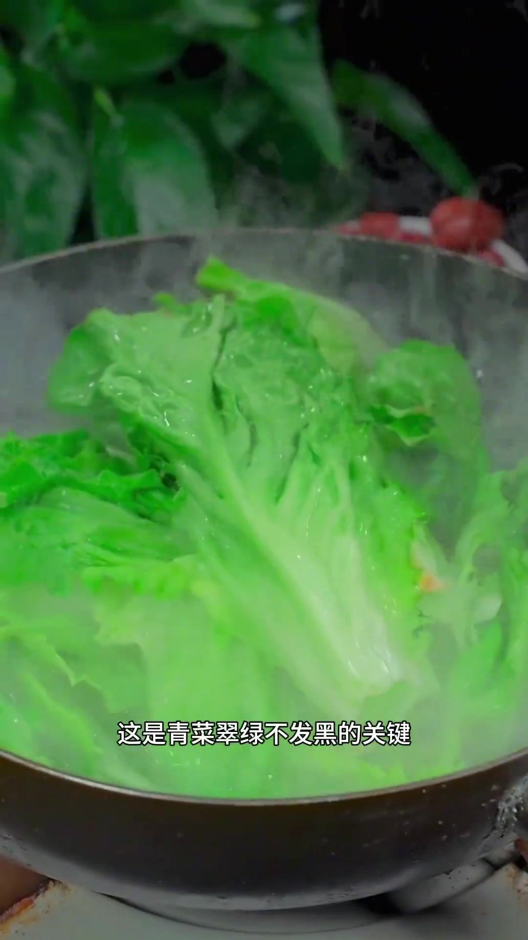 家里有产妇的，一定要试试这道蚝油生菜！