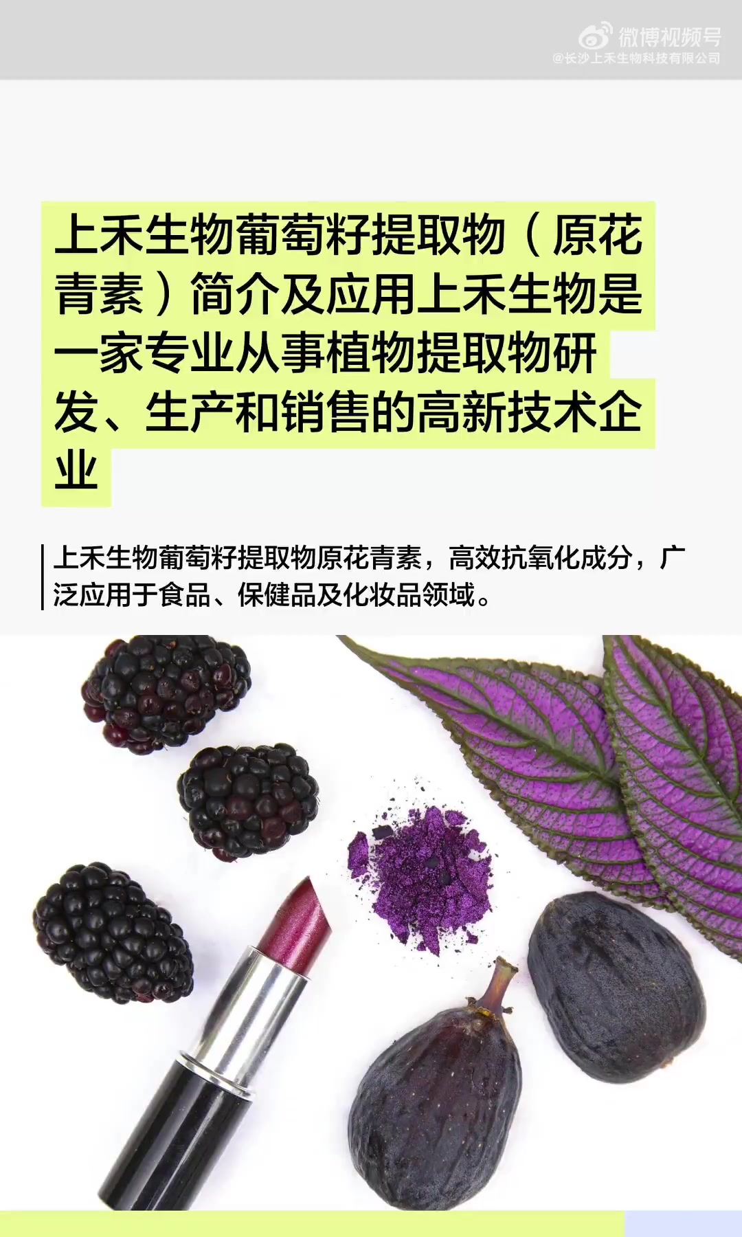 上禾生物葡萄籽提取物(原花青素)简介及应用  上禾生物是一家专业从事植物提取物研发、生产和