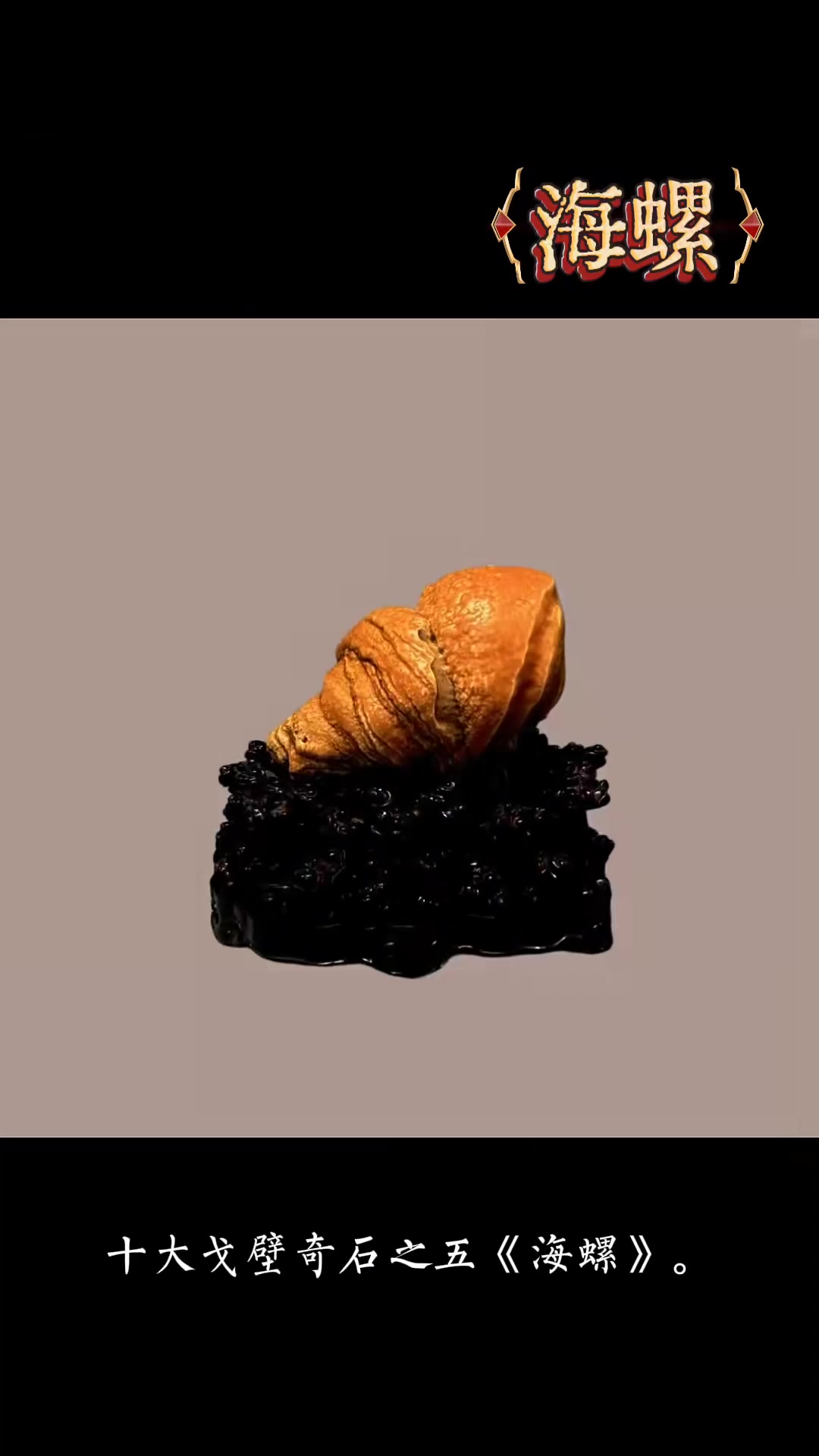 中国十大戈壁奇石都有