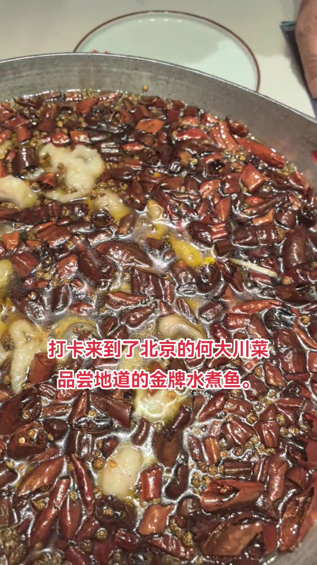 川菜万大厨回北京,打卡国大川菜水煮鱼