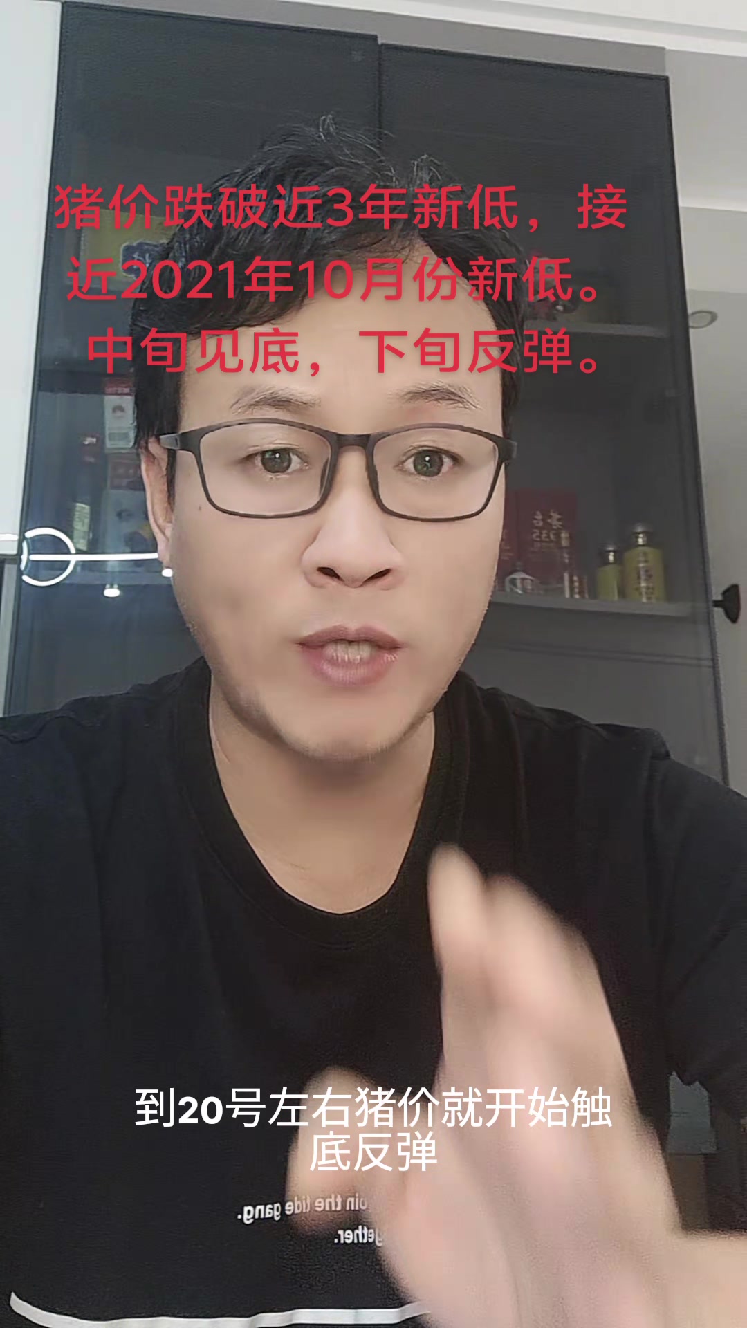 2025年猪价复制2021年趋势吗?猪价何时能触底反弹?
