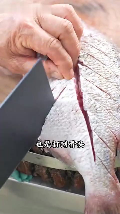 如何在家做出鲜嫩不腥的清蒸加吉鱼呢？