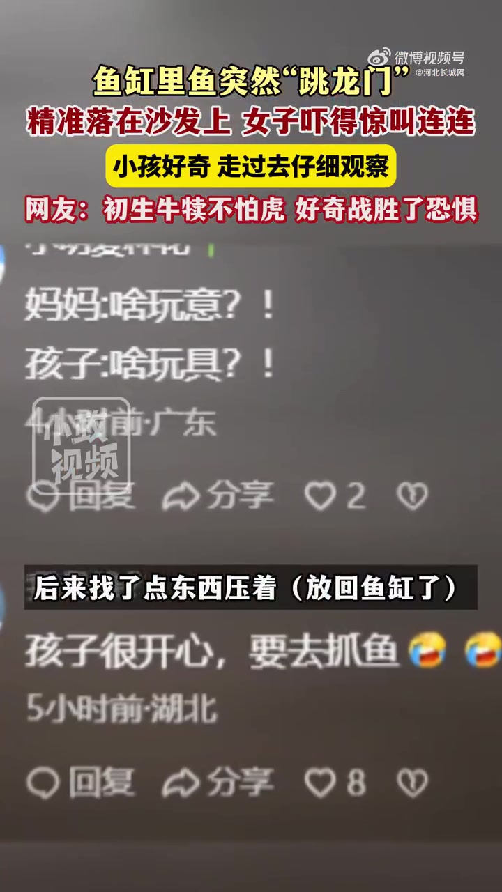 10月10日(发布时间),山东济南。鱼缸里鱼突然“跳龙门”,精准落在沙发上,女子吓得惊叫连