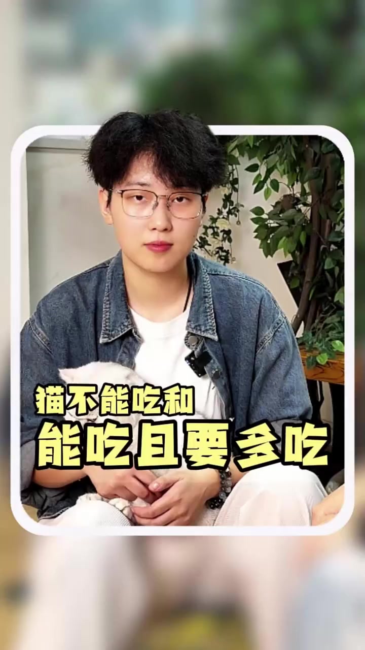 猫不能吃巧克力 吃完根本活不过24小时 还有这些也不能吃