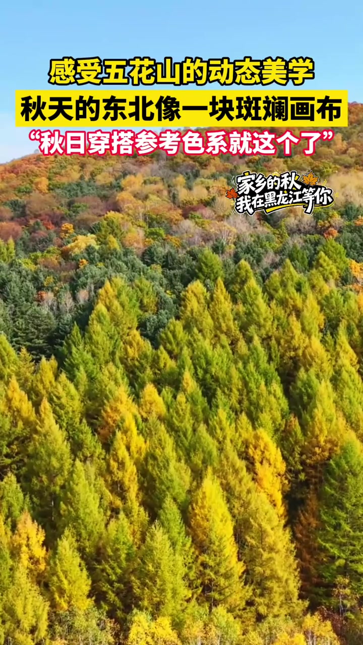 10月11日佳木斯汤原,感受五花山的动态美学,秋天的东北像一块斑斓画布,“秋日穿搭参考色系