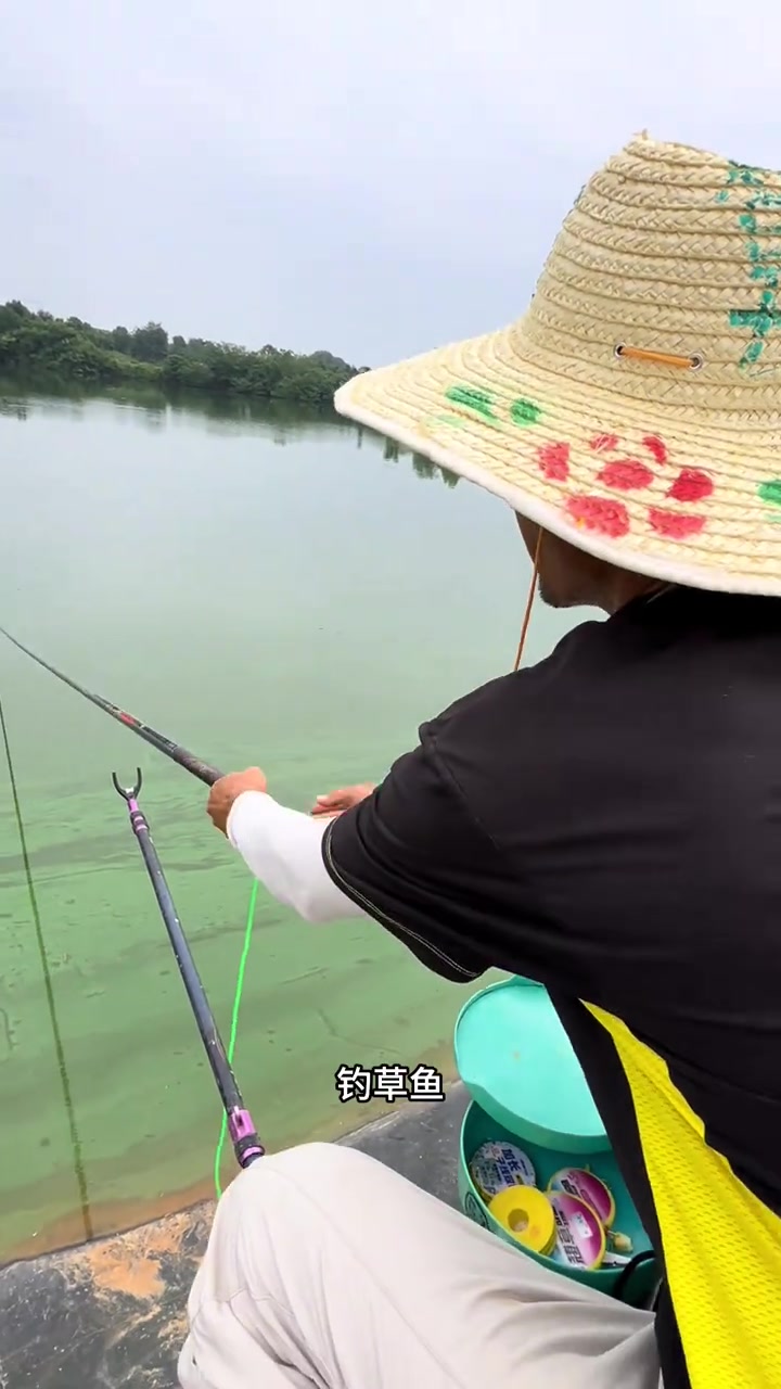 水库草鱼怎么选择位，钓底还是钓浮，用那种饵好呢？