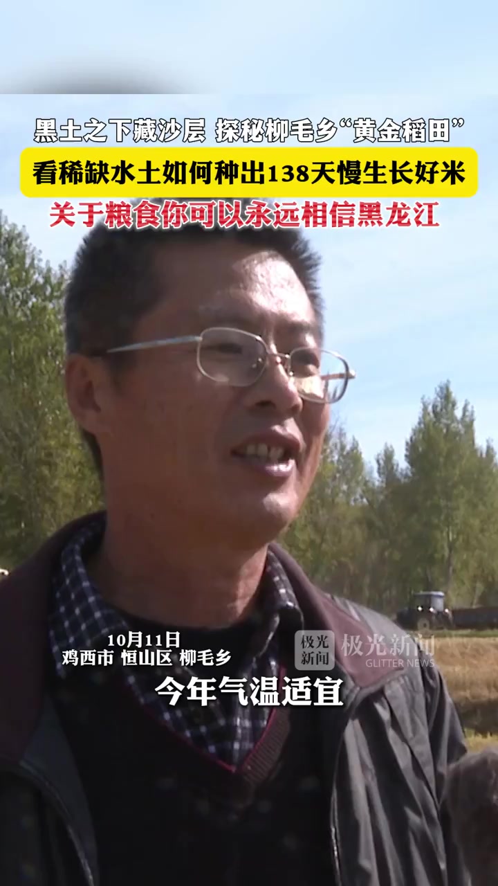 黑土之下藏沙层 探秘柳毛乡“黄金稻田”