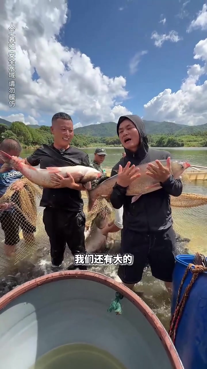 花32万包下110亩大鱼塘,拉一网鱼能回本吗?