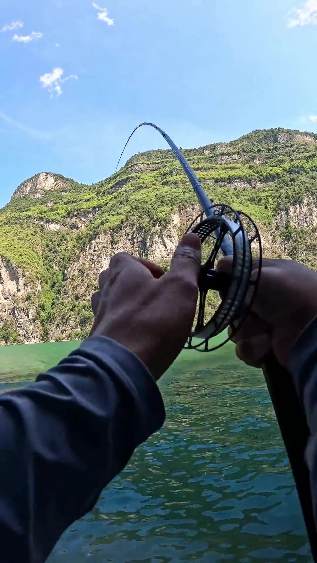 这里的清波鱼体型大得惊人