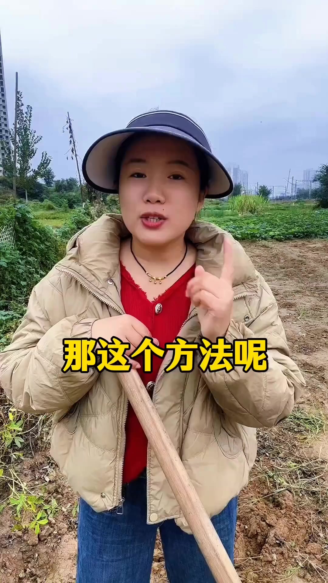 油菜播种时间和高产底肥的秘密