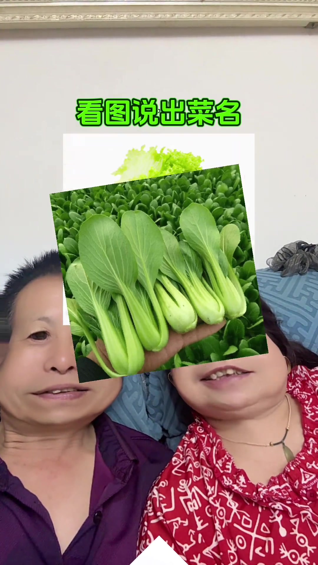 各种蔬菜大集合,你认识几种?快来看看!
