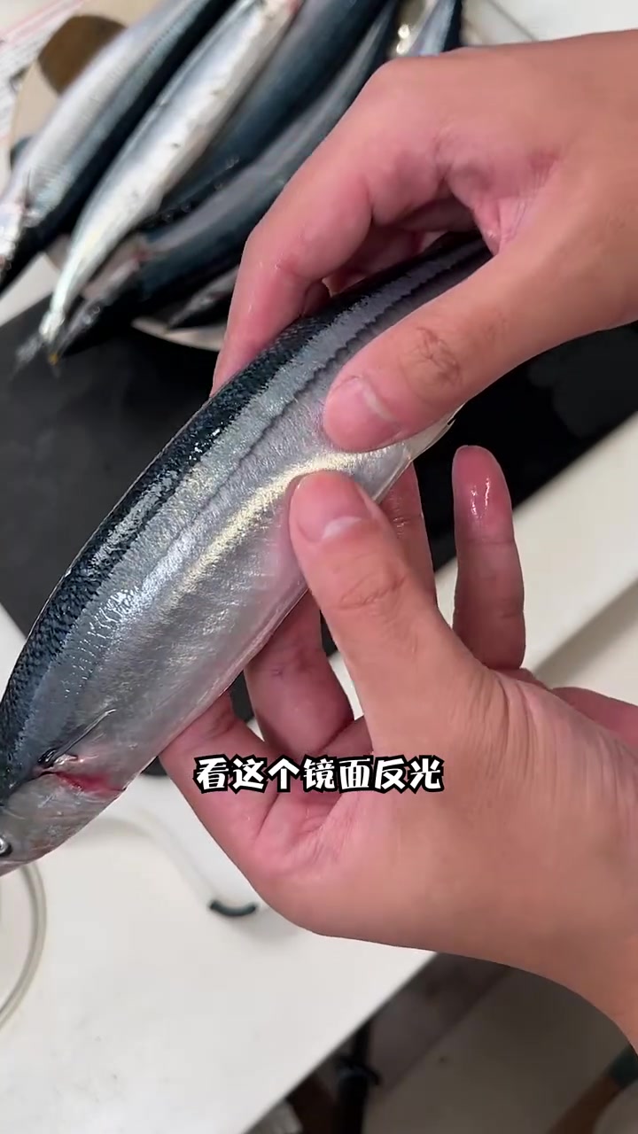 价格翻了6倍？天价秋刀鱼是真的肥！