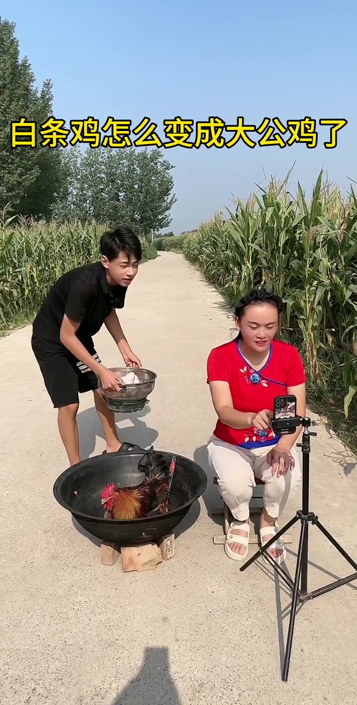 白条鸡咋变大公鸡了
