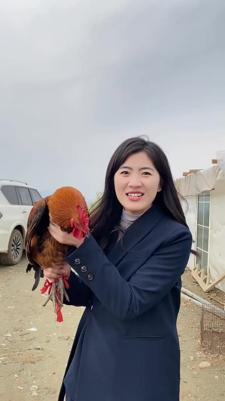 怎么分辨土鸡和饲料鸡